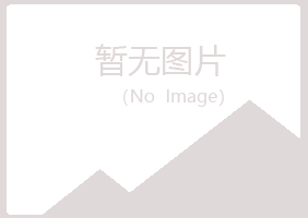 僳僳族盼山化学有限公司